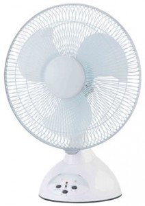 Fan